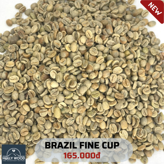 BRAZIL FINE CUP