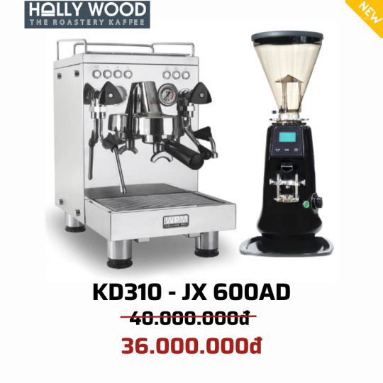 COMBO WELHOME PRO KD310 & JX600AD