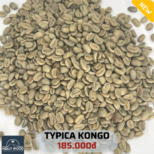 TYPICA KONGO